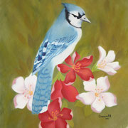 Red, White and Blue (Jay)   -   Soft Pastel   -  Available