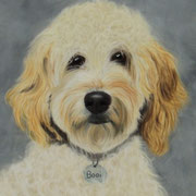 "Bodi"     Commission