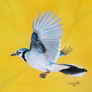 Blue Jay II   -   Soft Pastel      Sold  -  Prints Available
