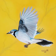 "Blue Jay II"   -   Soft Pastel      Sold  -  Prints Available