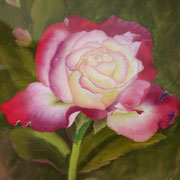 Summer Rose   -   Soft Pastel   -  Available