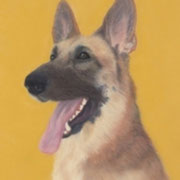 "Rin Tin Tin Remembered"    Available