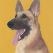 "Rin Tin Tin Remembered"    Available