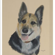"Quinn"    Commission