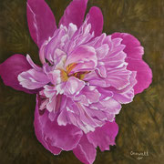 "Pink Peony"   -  Soft Pastel  -  Available