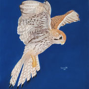 "Eye on the Prize"   14"x18" Framed  ...  Available