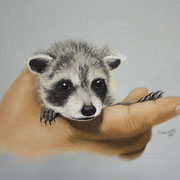 "The Rescue"     Soft Pastel    