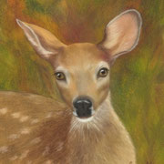 "Spring's Princess"     Soft Pastel    