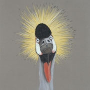 "Wired"     Soft Pastel    