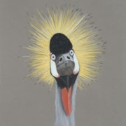 "Wired"     Soft Pastel    
