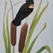 "Marsh Master"  -  Soft Pastel  -  Available