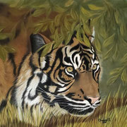 "In the Shadows"  -   Soft Pastel  - Available