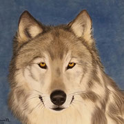 "Wild and Free"     Soft Pastel    