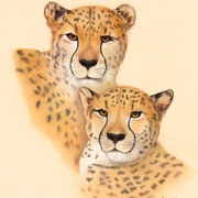 "Speed at Rest"     Soft Pastel    