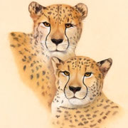 "Speed at Rest"     Soft Pastel    