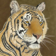 "Lost in Thought"     Soft Pastel    