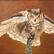 "Testing the Wind"  -  Oil