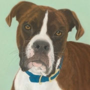 "Tyson"    Commission 
