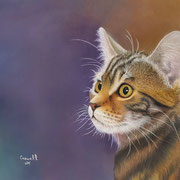 "What's That !?!"   -   Soft Pastel  -  Sold  -  Prints Available