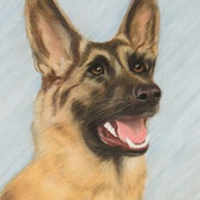 "Lexi"     Commission