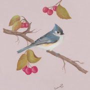 Tufted Titmouse II   -   Soft Pastel   -  Sold   -   Prints Available