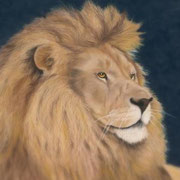 "The Old Warrior"     Soft Pastel    