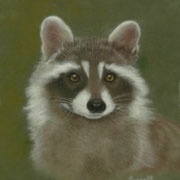 "Mugshot"     Soft Pastel    