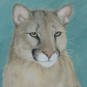 "Desert Shadow"     Soft Pastel    