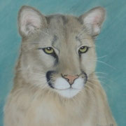 "Desert Shadow"     Soft Pastel    