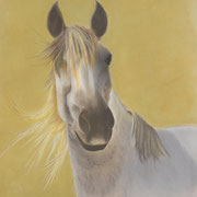 "Andalucian Mare"  -  16'X20"  Framed  -  Available ... Prints Available