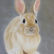 "Bunny"            Available