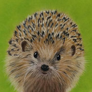 "Prickly Pete"        Available Sold ... Prints Available