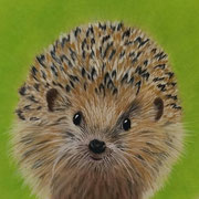 "Prickly Pete"        Available Sold ... Prints Available