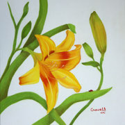 Window View   -   Watercolor  -  Unavailable