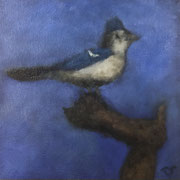 6593...8x8: oil on canvas: "blue jay" sp 22