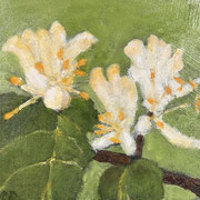 7146...8x8: oil on canvas: "honeysuckle2" s 25