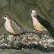 6909...8x8: oil on canvas: "doves" sp24