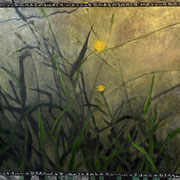 6677...44x48: oil on linen w/prints & sand: "persistence of vision" f 22