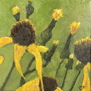 7127...8x8: oil on canvas: "coneflowers" s 25