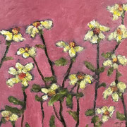 7178...8x8:oil on canvas: "daisies" f 25 