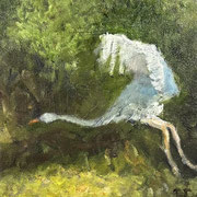 7173...8x8: oil on canvas: "heron in flight" f 25