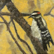 7224...8x8: oil on canvas: "woodpecker" sp26