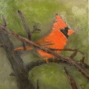 6871...8x8: oil on canvas: "redbird" f 23