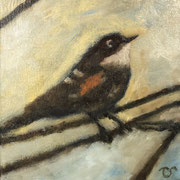 6590...8x8: oil on canvas: "warbler" sp 22