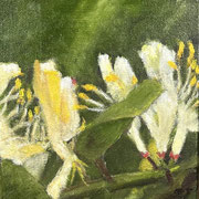 6986...8x8: oil on canvas: "honeysuckle" s 24