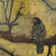 7115...8x8: oil on canvas: "robin" s 25