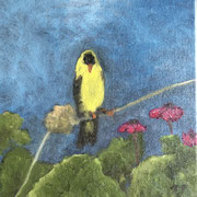6499...8x8: oil on canvas: "yellow finch" s 21