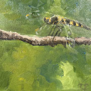 6988...8x8: oil on canvas: "dragonfly" s 24