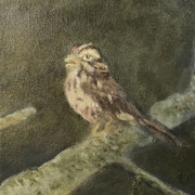 6588...8x8: oil on canvas: "song sparrow" sp 22