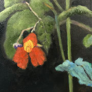 6528...8x8: oil on canvas: "impatiens" w 22